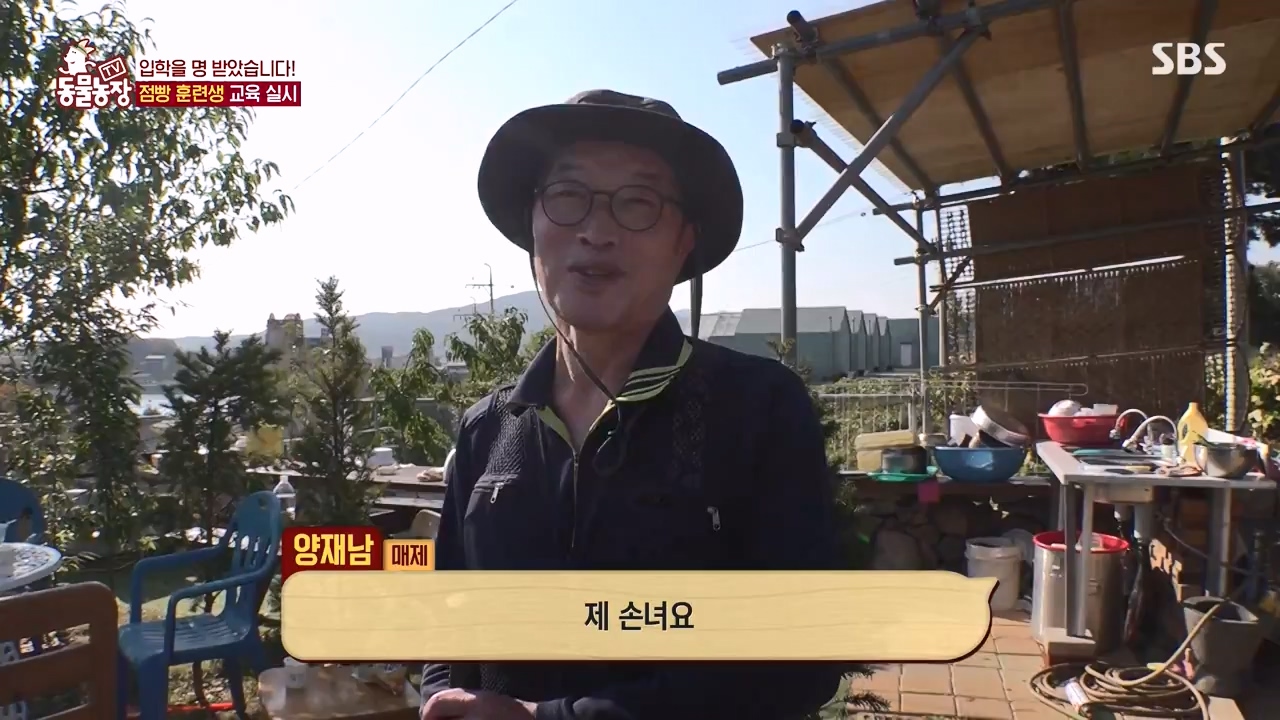 TV 동물농장.E1147.231127p-NEXT.mp4_20231126_170349.727.jpg