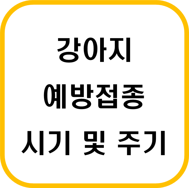  강아지 예방접종 건강을 지키는 첫 번째 스텝(접종 종류, 시기, 주기)