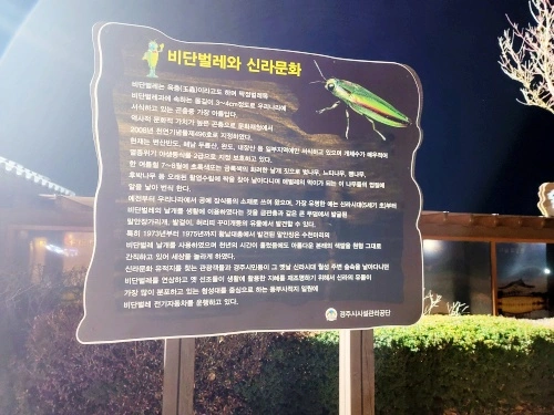 비단벌레와-신라문화