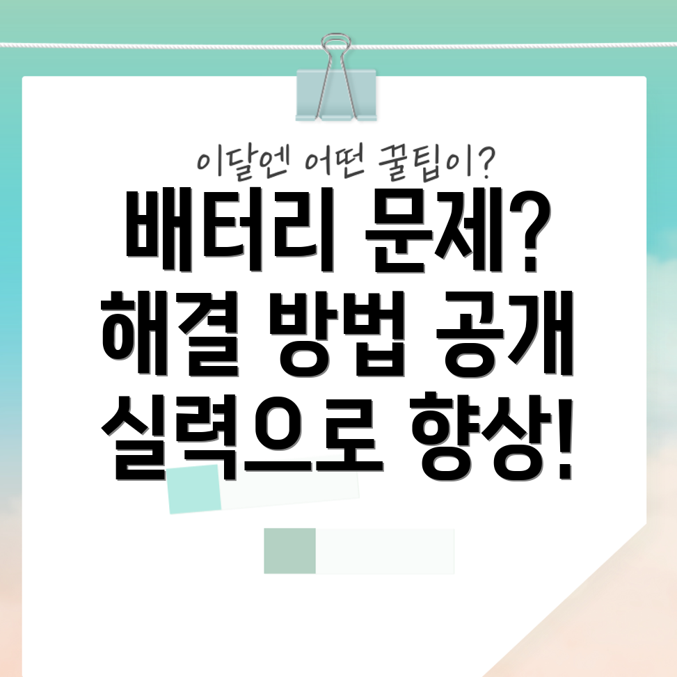 아이패드 배터리 성능 문제