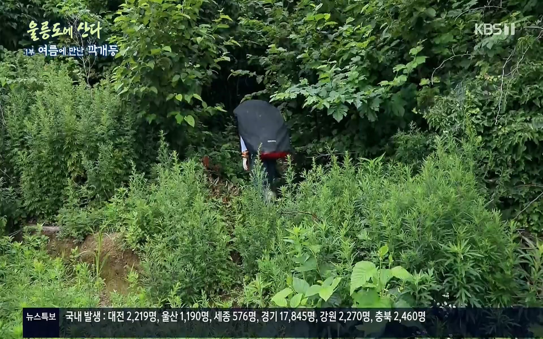 다큐울릉도에산다.E01.220909p.H264-F1RST.mp4_20220912_180550.390.jpg