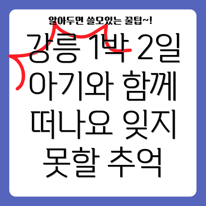 강릉 아기와 여행