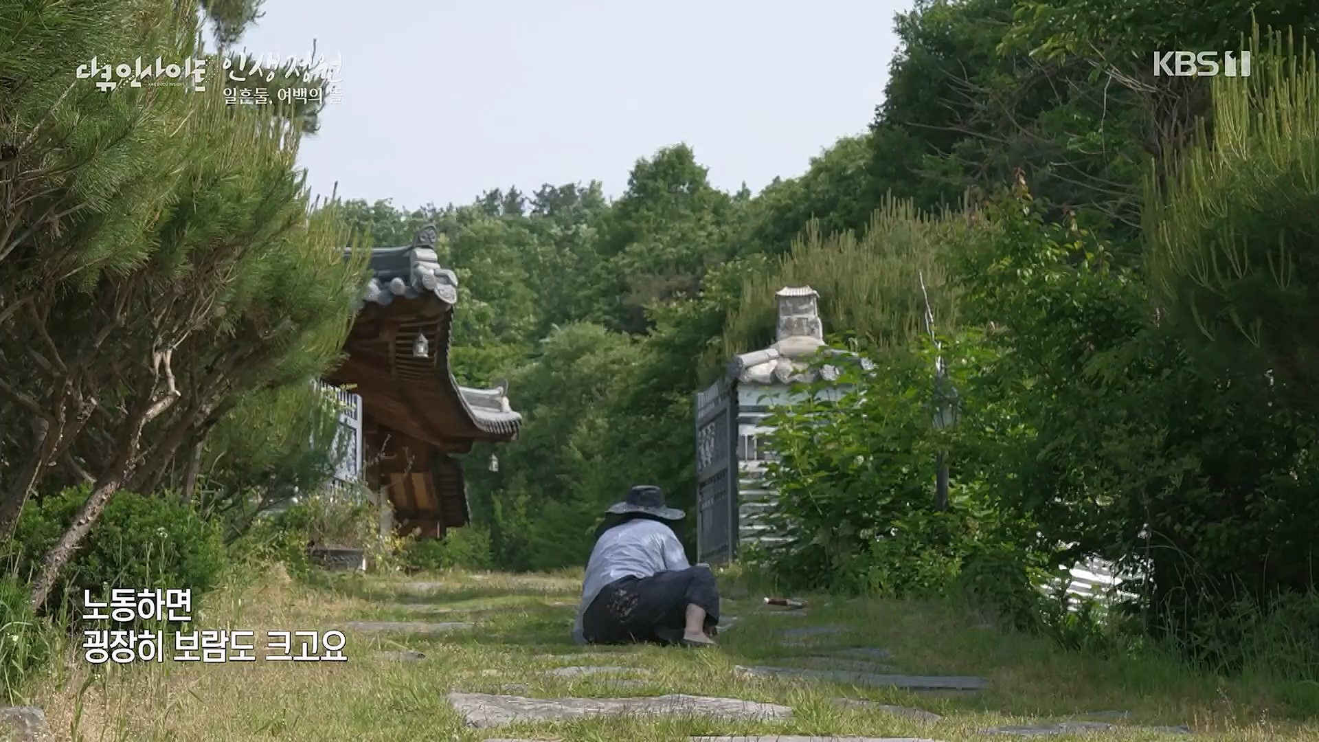 다큐 인사이트.E135.221229p.H264-F1RST.mp4_20230109_204212.854.jpg