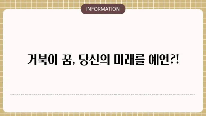 거북이 보는꿈 잡는꿈 새끼거북이 꿈 해몽에 관하여