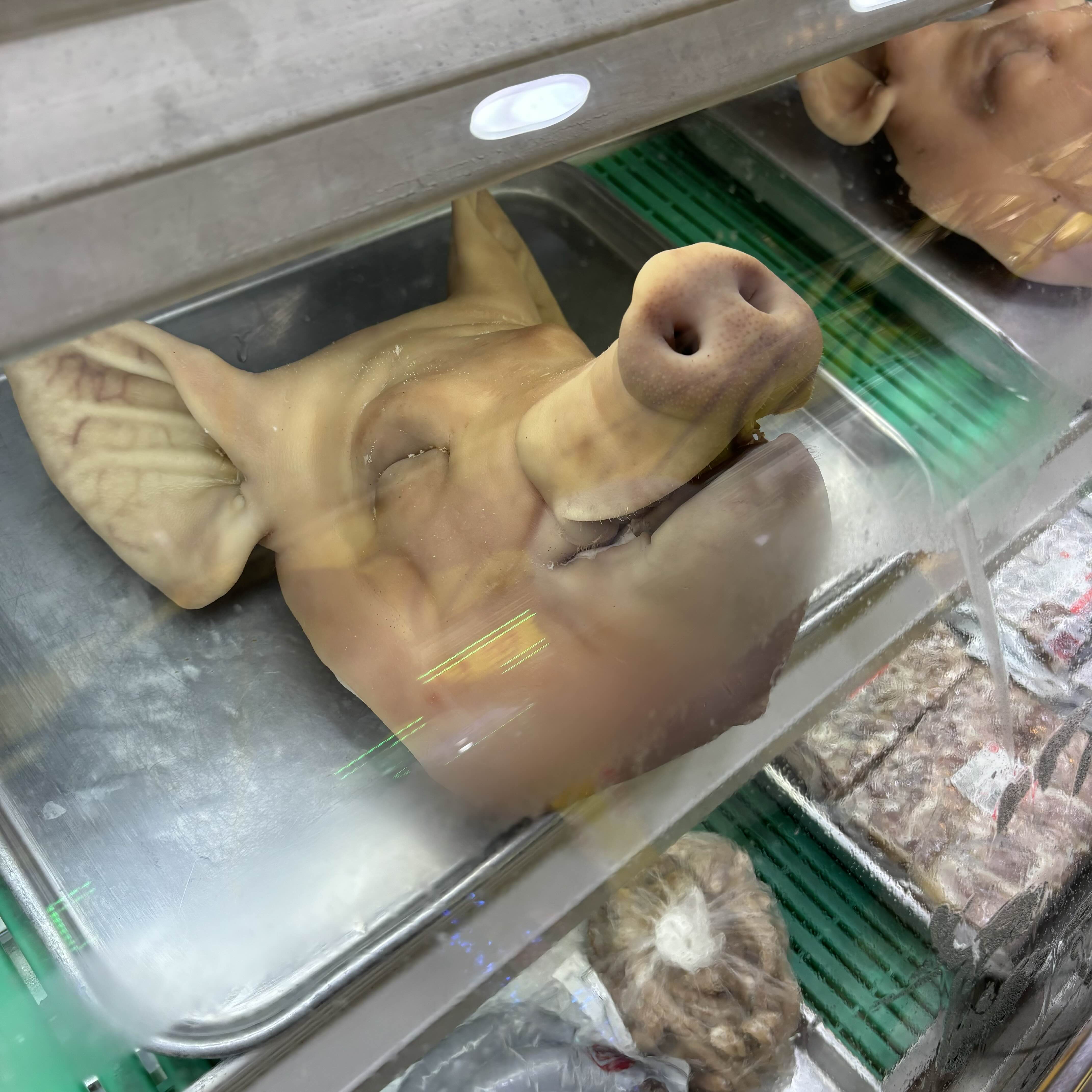 고사용 돼지머리