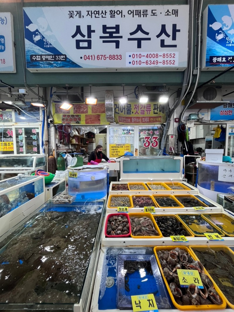 모항항 어시장