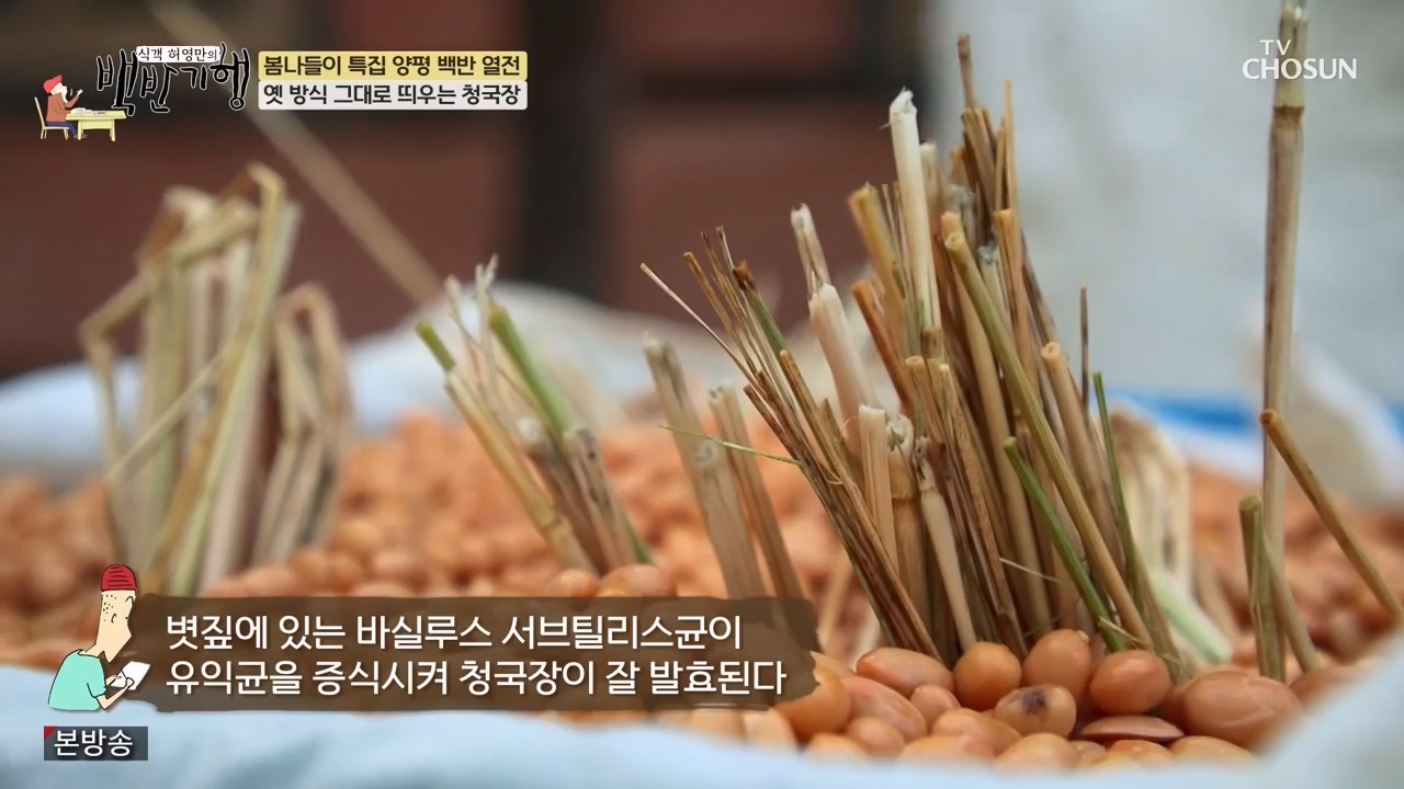 식객 허영만의 백반기행.E240.240325p-NEXT.mp4_20240325_195546.677.jpg