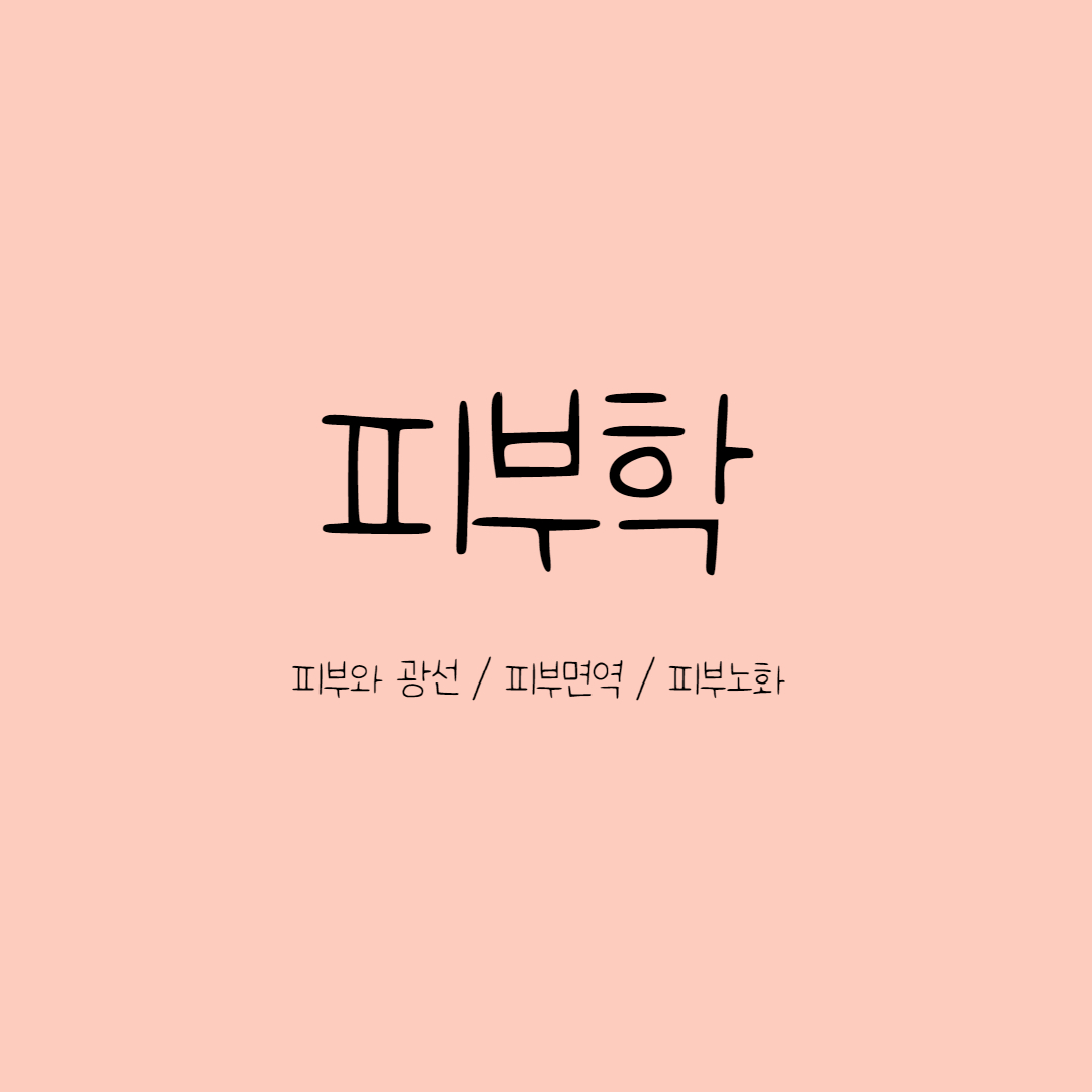  피부와 광선