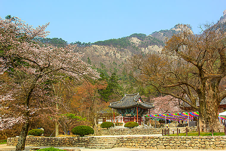 전남부안 내소사
