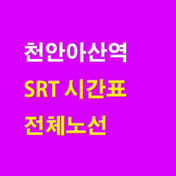 천안아산역 SRT 노선 기차 시간표 정차역 최종정리