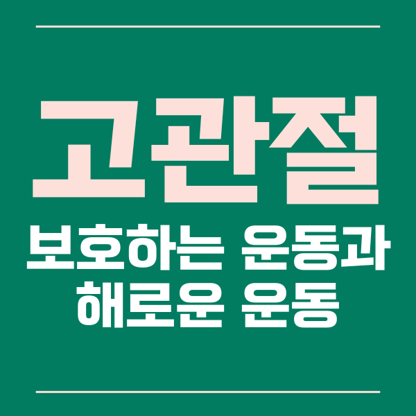  고관절에 해로운 운동들을 살펴보고 건강을 지키는 방법들
