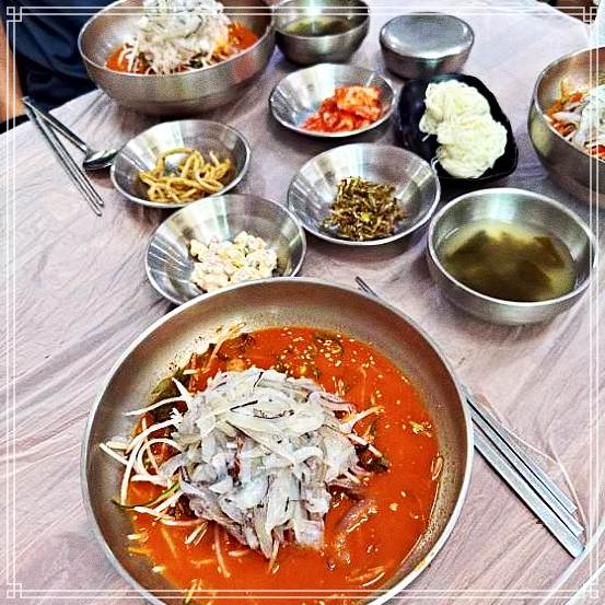  생방송오늘저녁 속초 2070회 위대한 일터 산 오징어, 가자미 물회, 회덮밥 오후 1시면 장사 끝 단 4시간만 문 여는 물회 맛집 위치