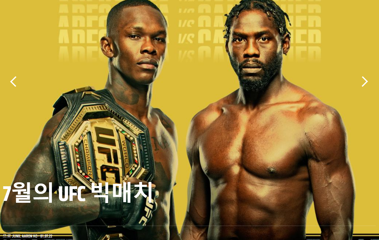 UFC276 무료 중계 볼카노프스키 할로웨이 아데산야 캐노니어