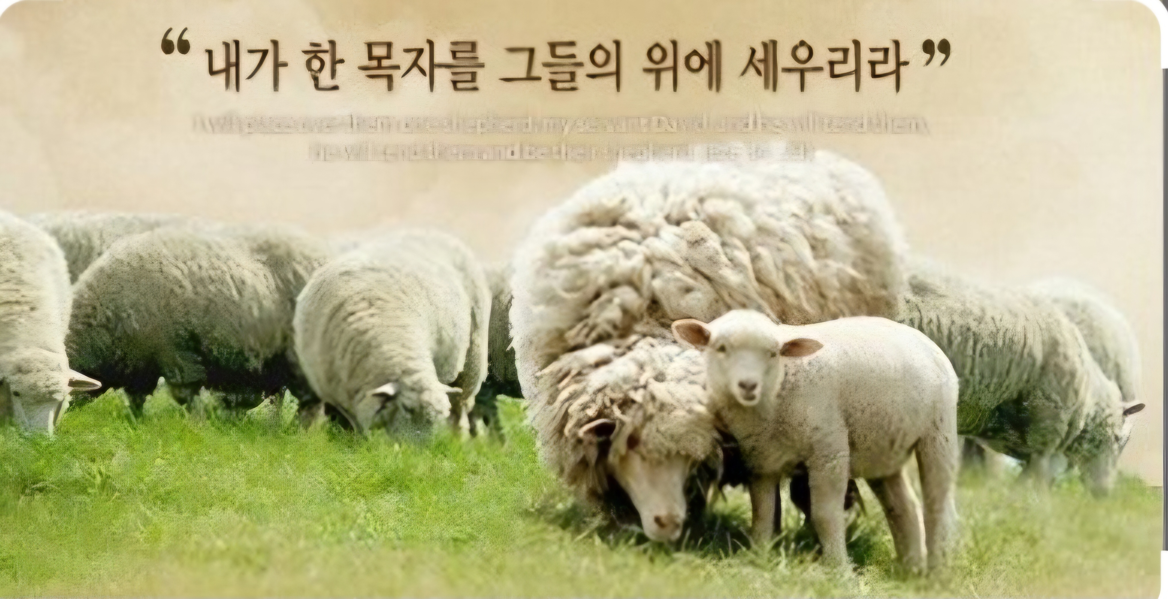 푸른초장 이미지