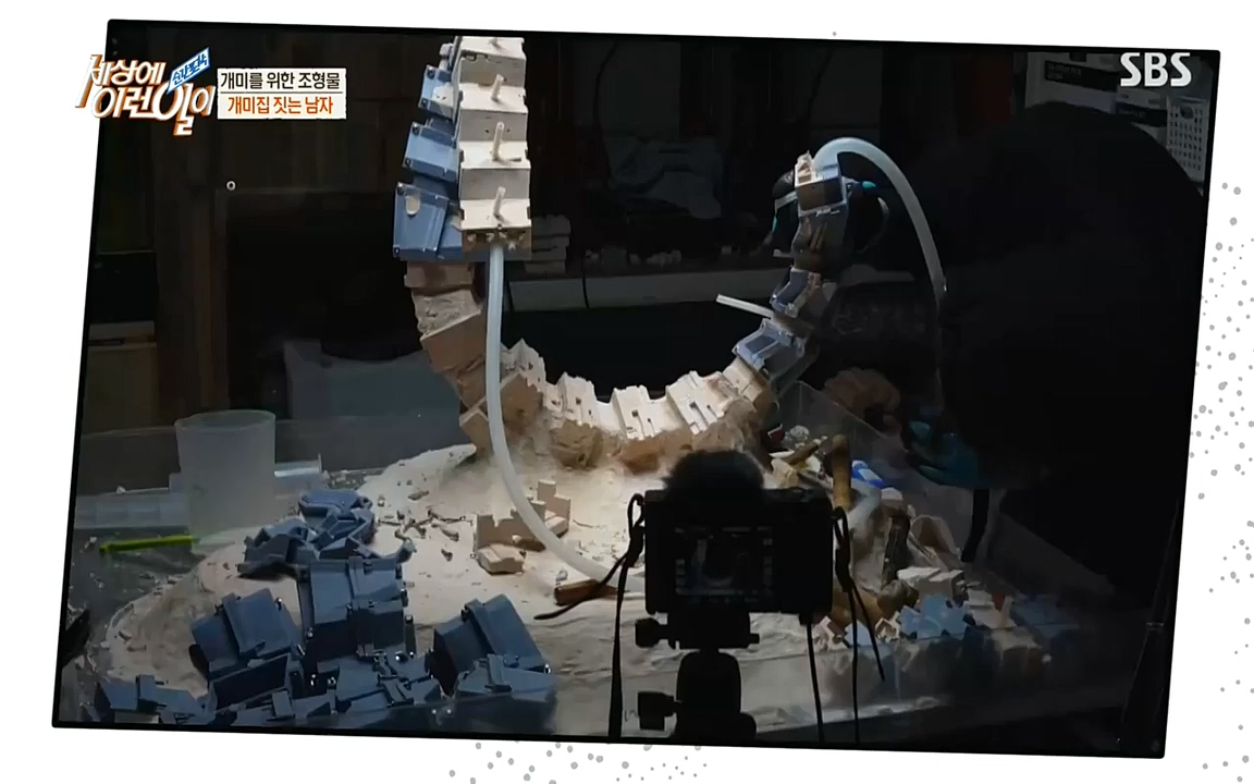 순간포착 세상에 이런일이.E1193.220816.H265p-BULDU.mp4_20220817_204239.626.jpg