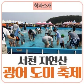 서천 광어 도미 축제에서 제철 맛 체험 완벽 여행 가이드_11