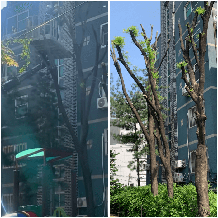 자를 때&#44; 자른 후