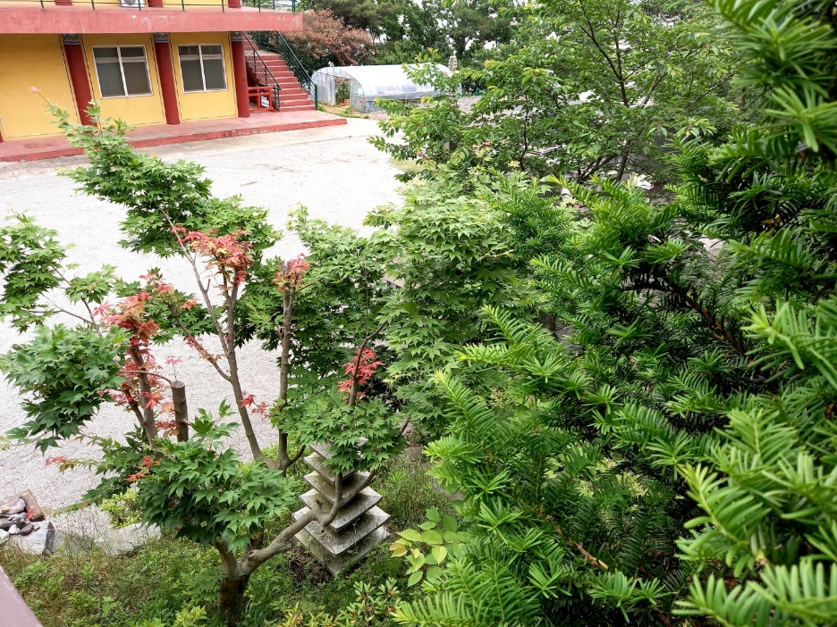img.jpg