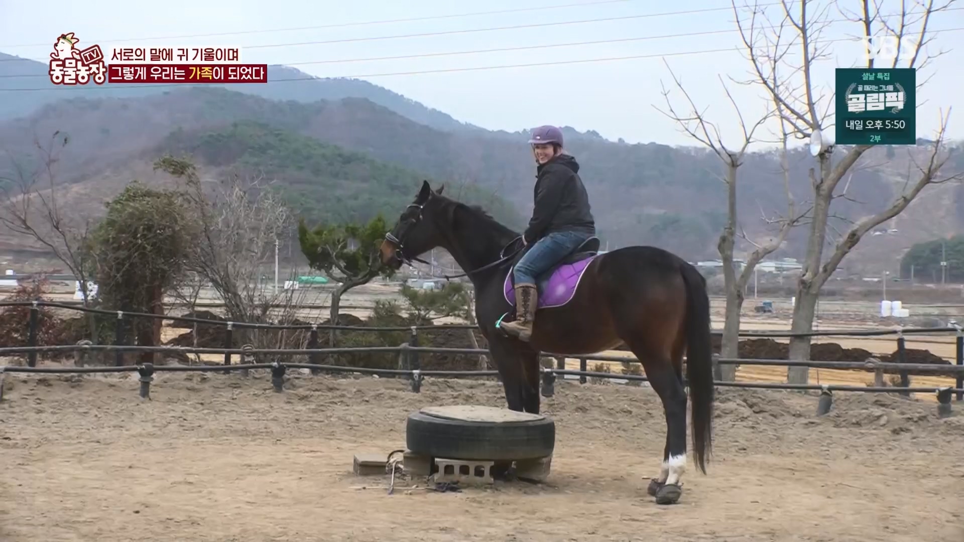 TV 동물농장.E1158.240211p.H264-F1RST.mp4_20240211_194058.864.jpg