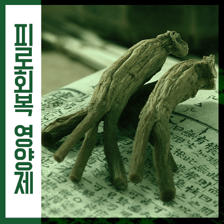  만성피로에 좋은 영양제 및 식품 TOP4 선물용 최고