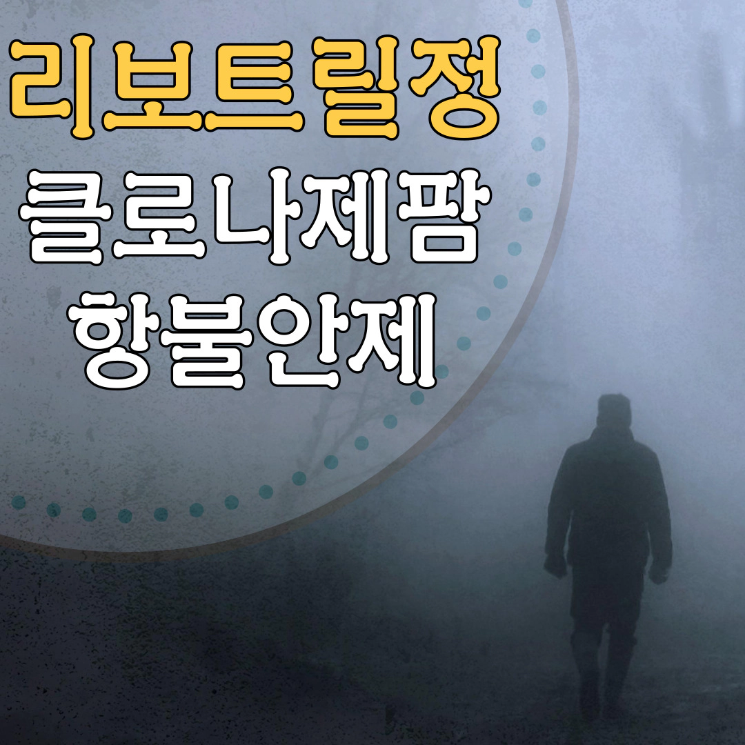 리보트릴정 클로나제팜 항불안제