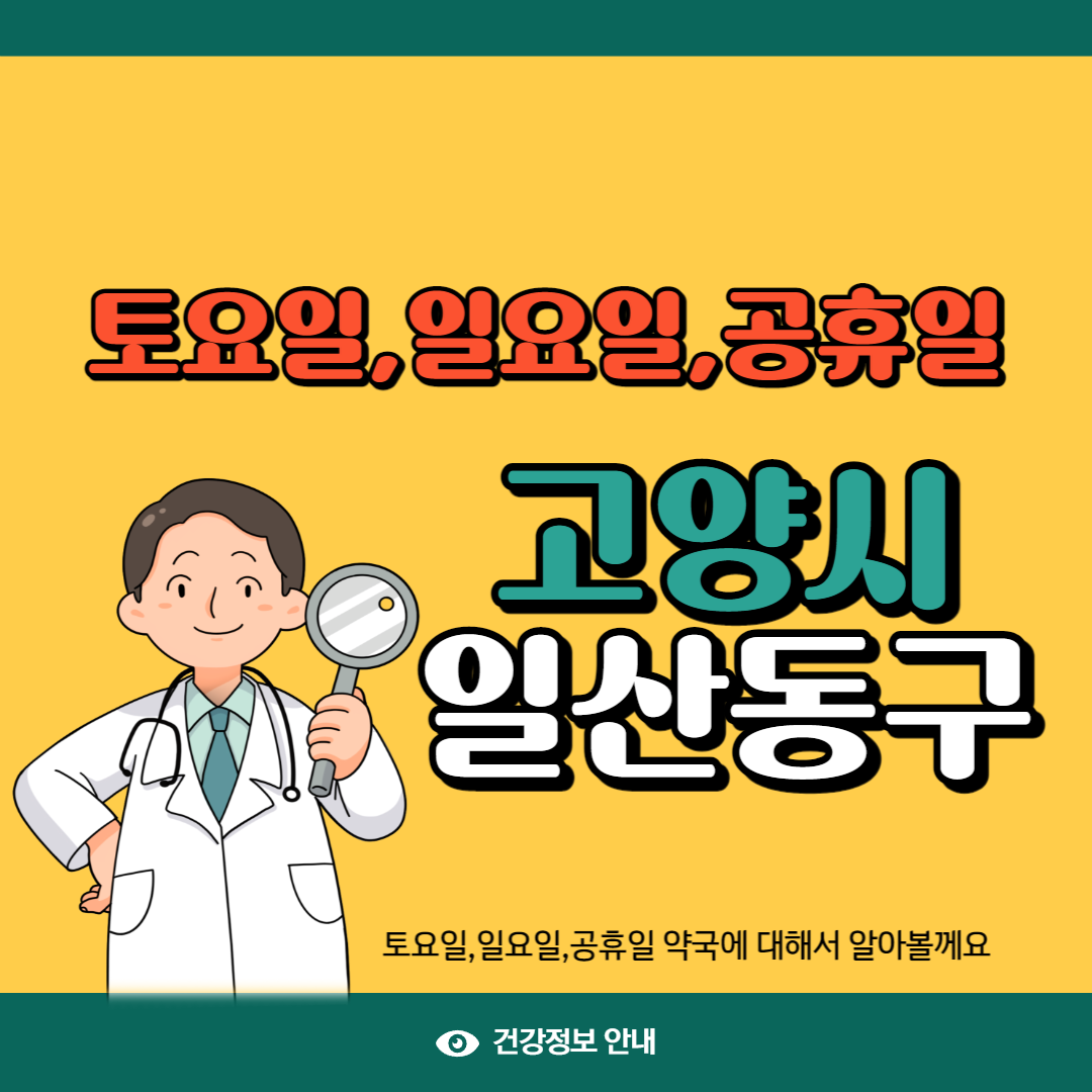 고양시 일산동구 일요일약국