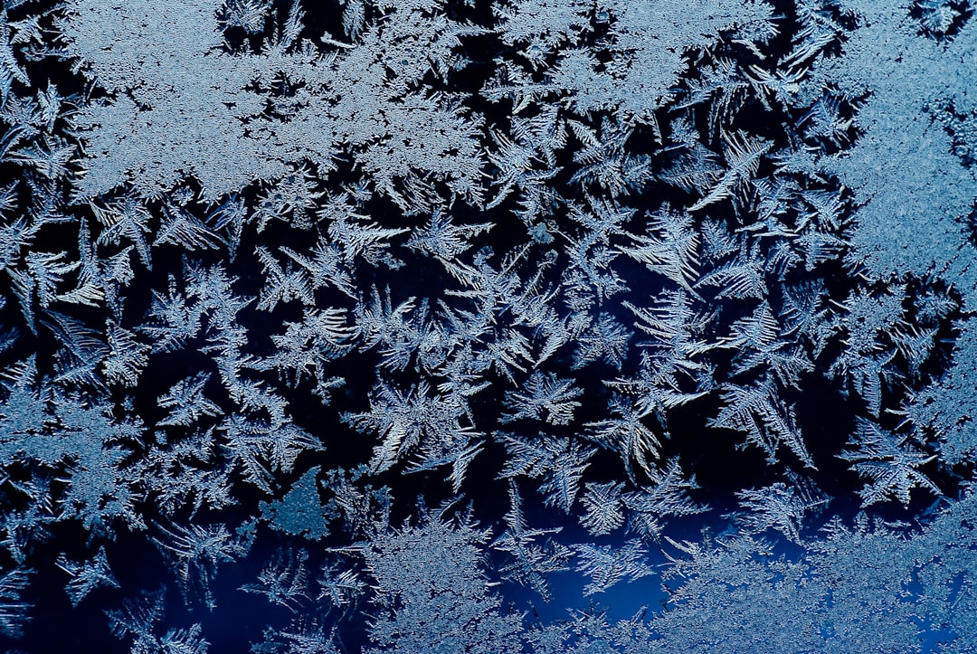 Frost