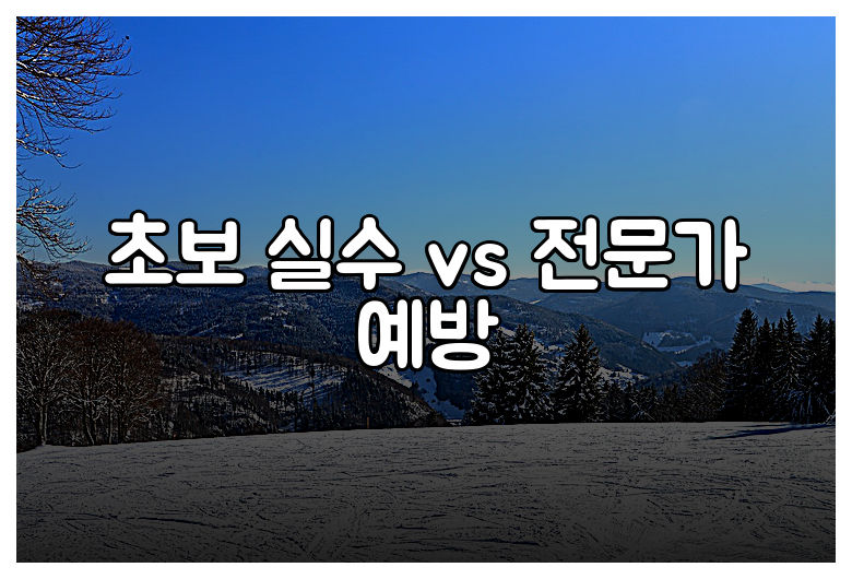 초보 실수 vs 전문가 예방