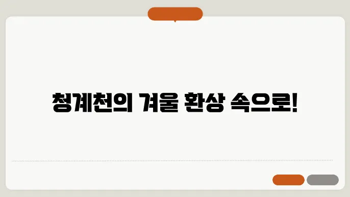 청계천 빛초롱축제 기본정보 코드 특성