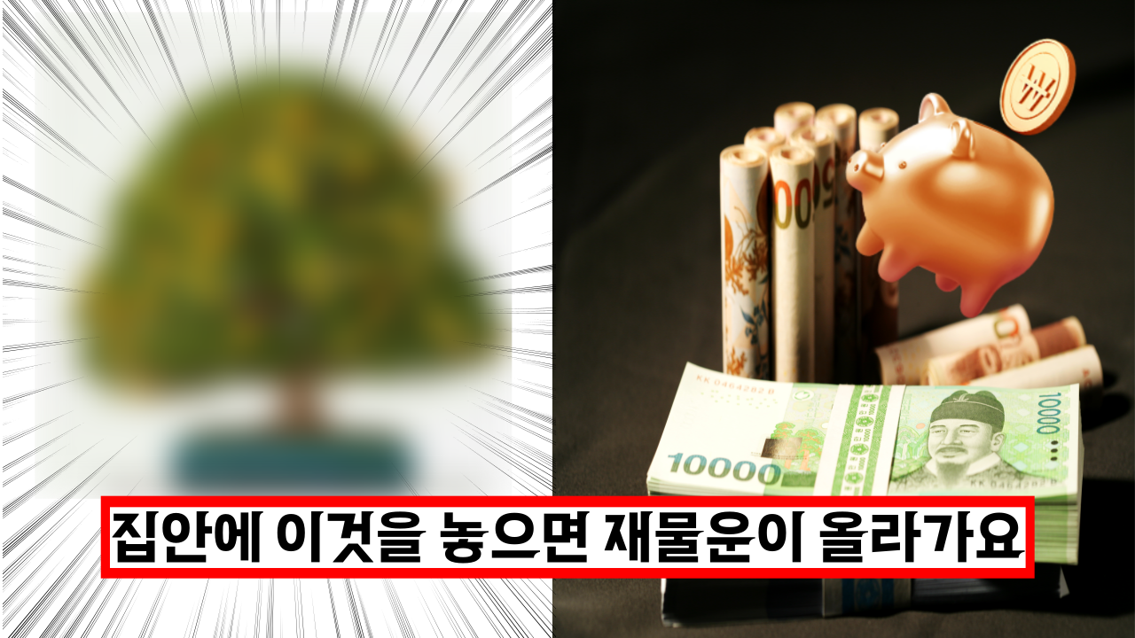  대박! 집안에 이게 있으면 돈과 행운이 저절로 굴러들어오는 물건 3가지