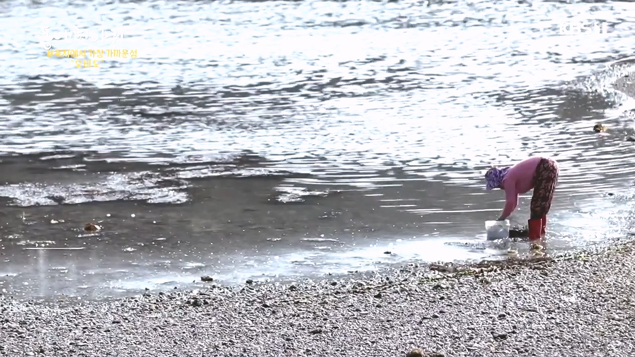 동네 한 바퀴.E243.231015p-NEXT.mp4_20231015_183700.486.jpg