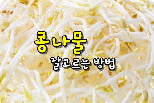  진짜? 콩나물효능 대박 !!/bean sprouts