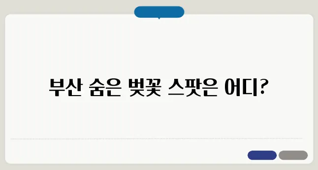 부산 벚꽃 명소 추천! 숨은 벚꽃 스팟 공개