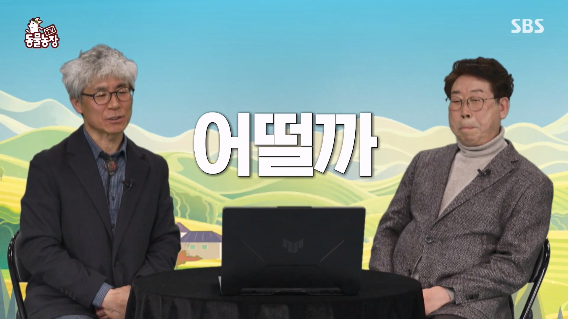 TV 동물농장.E1164.240324p-NEXT.mp4_20240324_170530.983.jpg