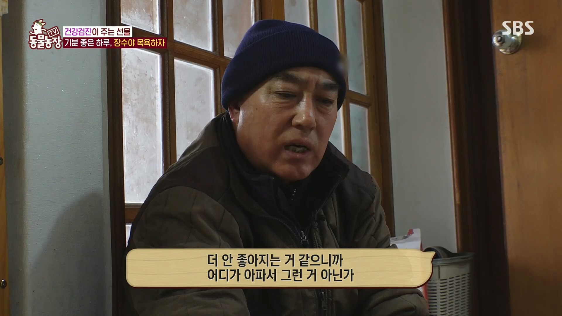TV 동물농장.E1101.221225p.H264-F1RST.mp4_20221225_190248.179.jpg