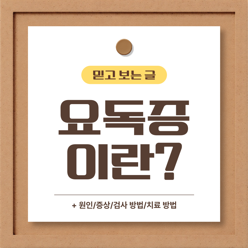  요독증 이란?