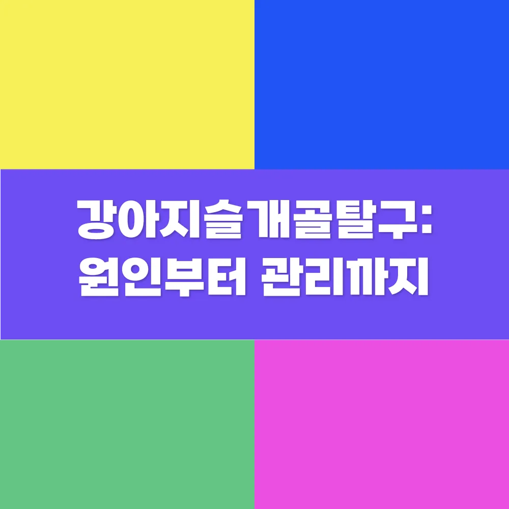 썸네일 이미지