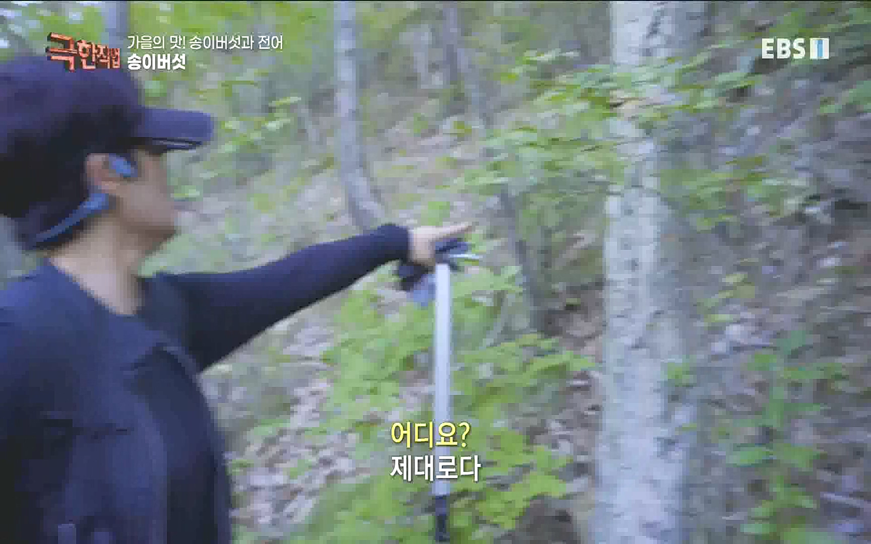송이버섯과 전어 221008.mp4_20221012_213436.827.jpg