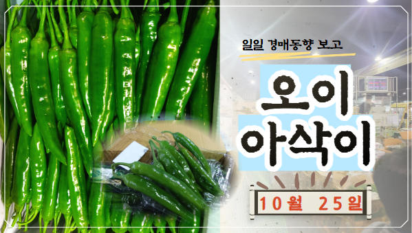  [경매사 일일보고] 10월 25일자 가락시장 오이아삭이 경매동향에 대해서 알아보도록 하겠습니다!