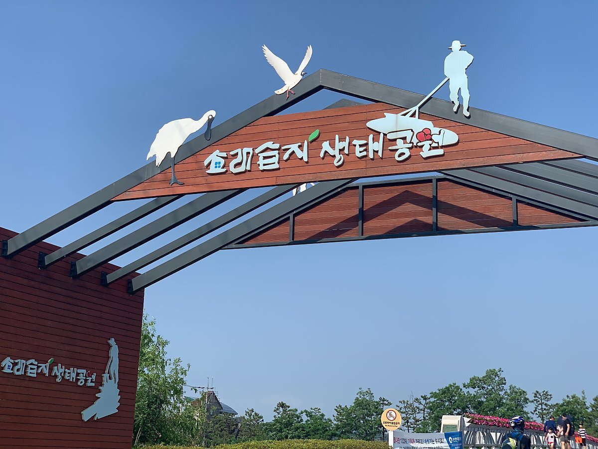  강아지를 위한 서울 산책코스 7곳
