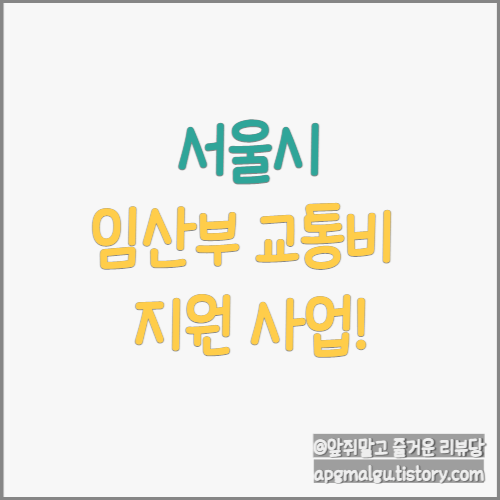  서울시 임산부 교통비 지원 혜택 정리!