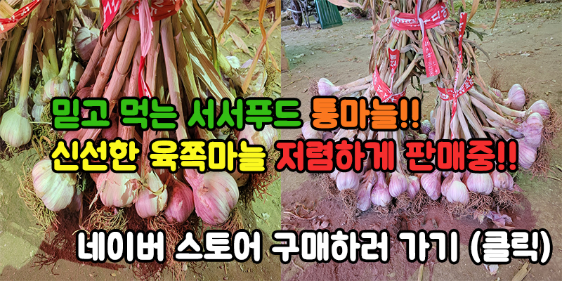 여름 추천 필수 아이템 우포스(OOFOS) 쪼리 블랙! 사이즈 및 실착후기 - 읽어주셔서 감사합니다💕 여름 추천 필수 아이템 우포스(OOFOS) 쪼리 블랙! 사이즈 및 실착후기 - 읽어주셔서 감사합니다💕
