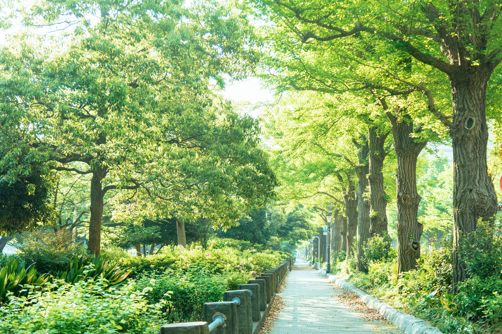  [자미두수] 14주성을 공부하는 순서에 대하여