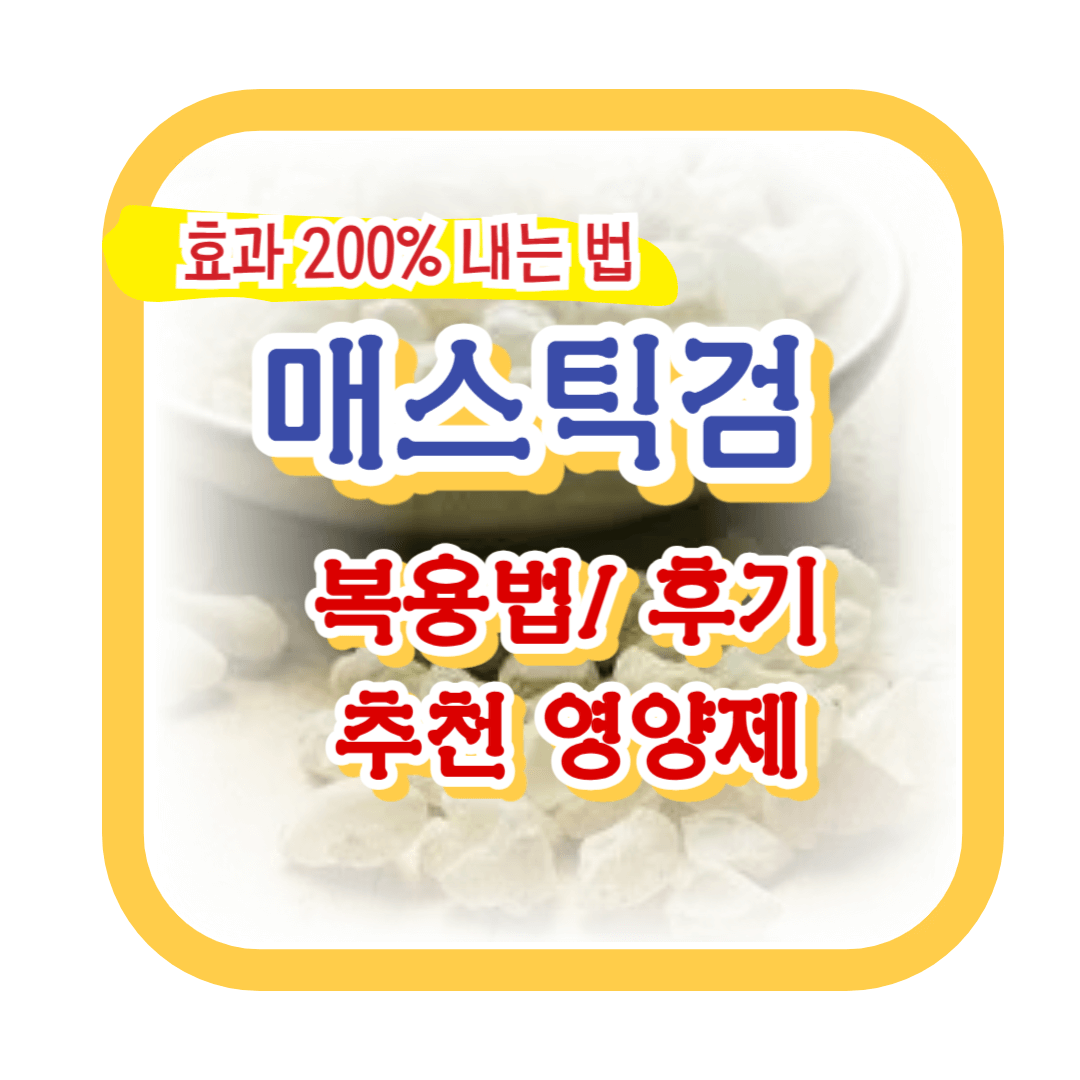 매스틱검-복용법-추천-후기