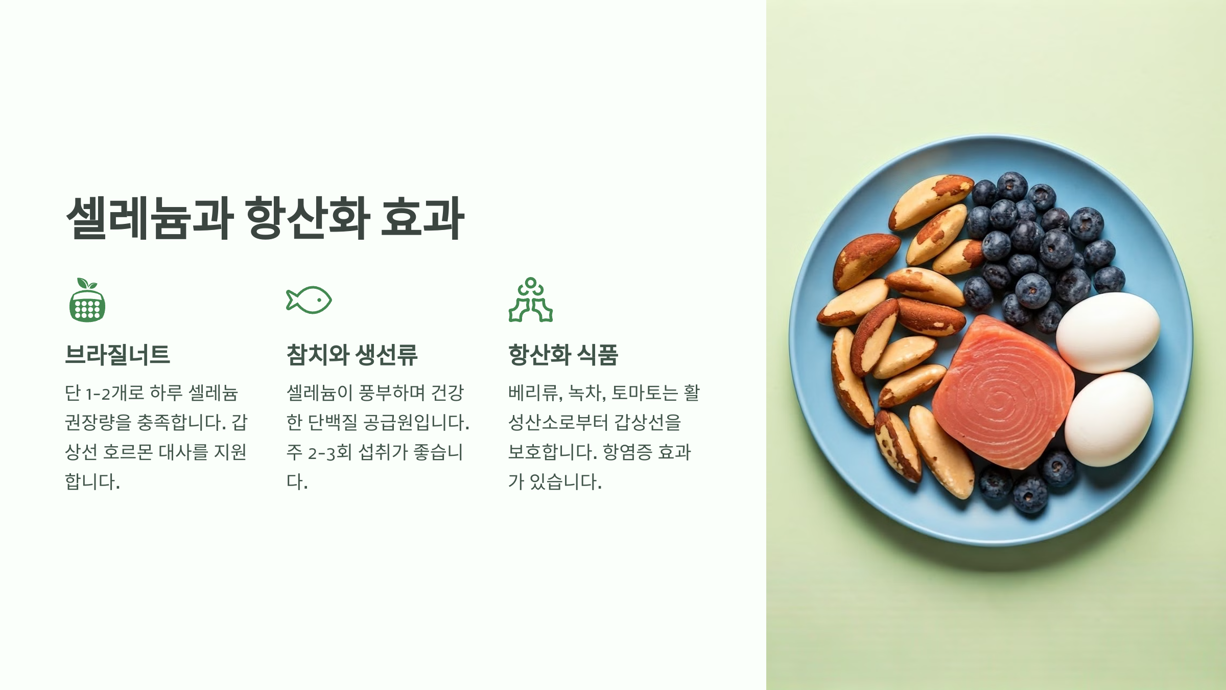 셀레늄이 풍부한 음식과 항산화 효과