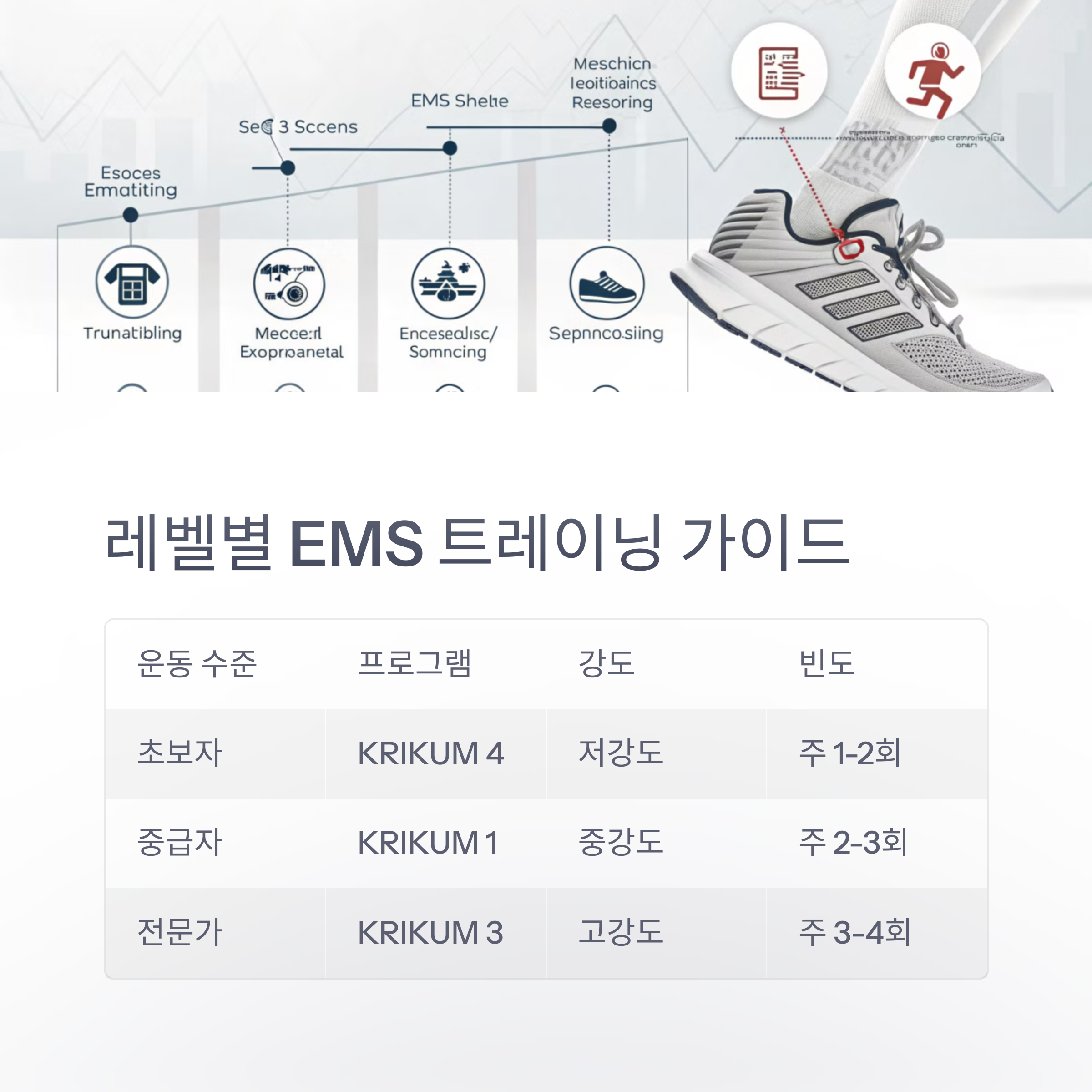 6_EMS.png