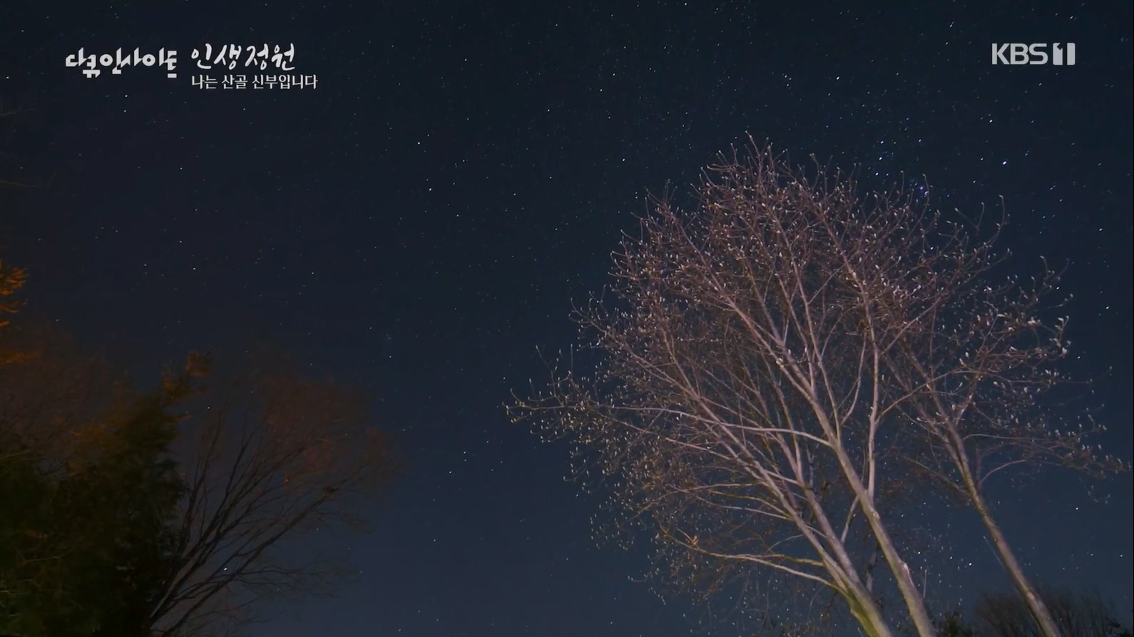 다큐 인사이트.E153.230608p.H264-F1RST.mp4_20230612_204034.288.jpg