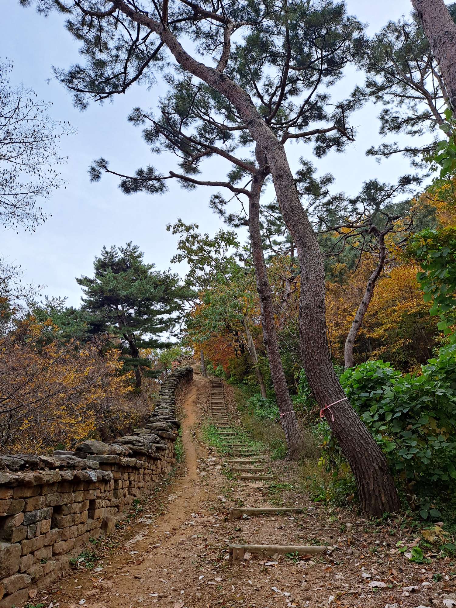 남문성벽 올라가는길