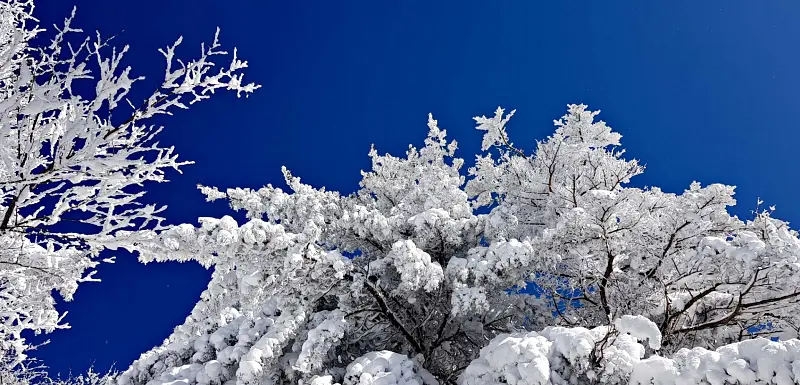 지리산 설경 상고대