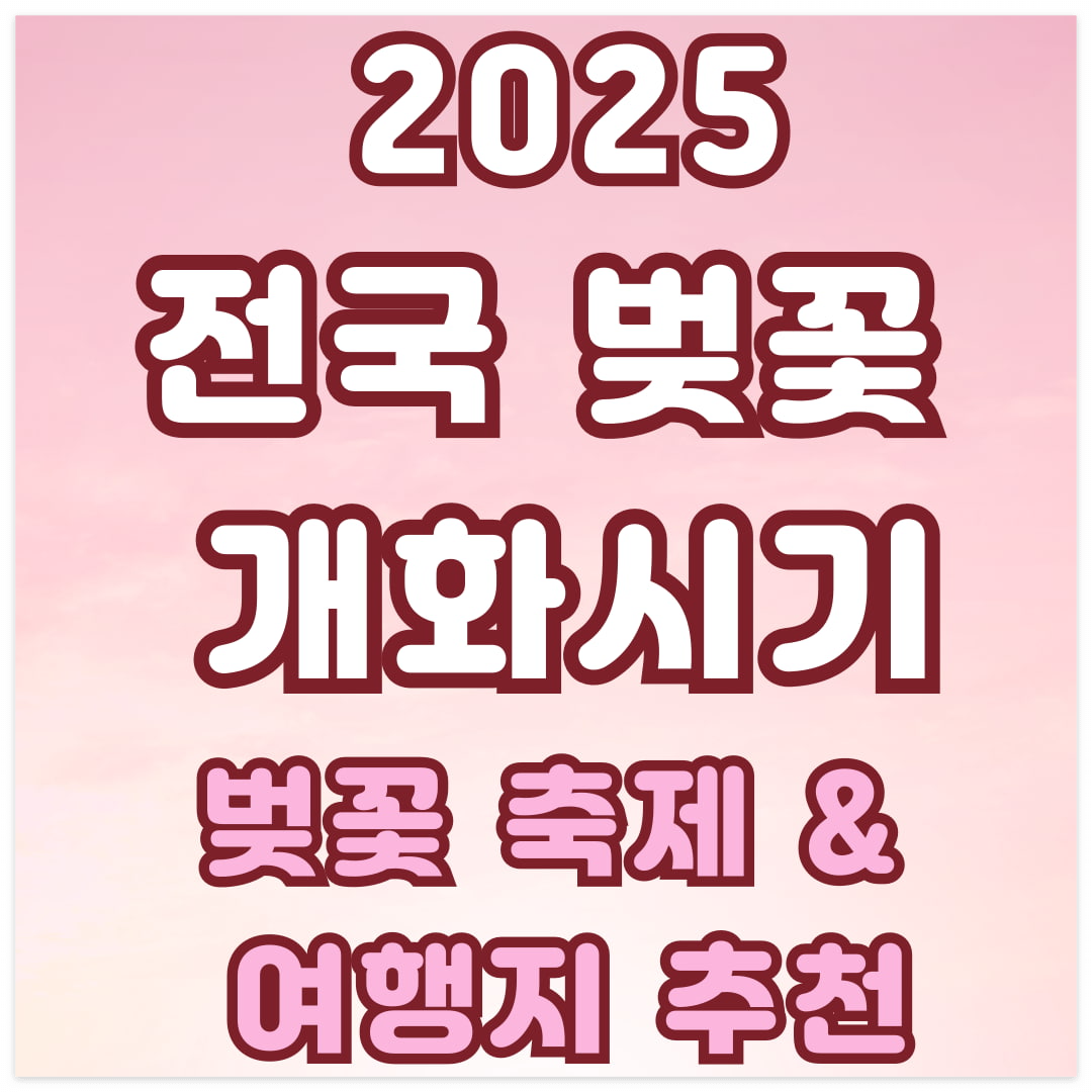 2025년 서울 벚꽃 개화 예상 시기와 특징